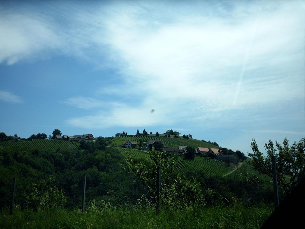 Gastehaus Kaiser Appartamento Kitzeck im Sausal Esterno foto